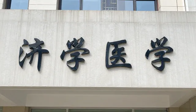 软件在技术支持中的应用趋势与实践价值