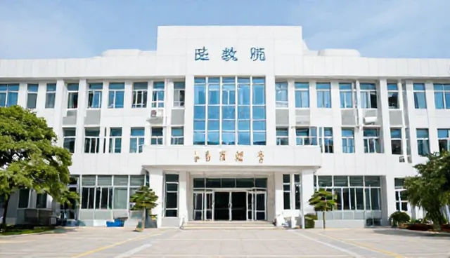 客户体验在技术咨询中的适用情况与限制
