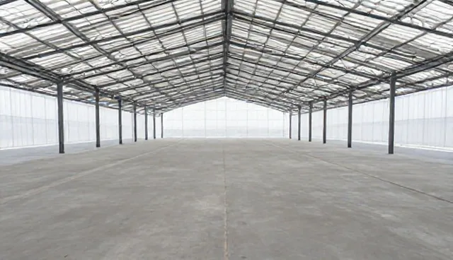 业务发展：技术支持在场景应用中的关键作用